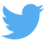 Twitter icon